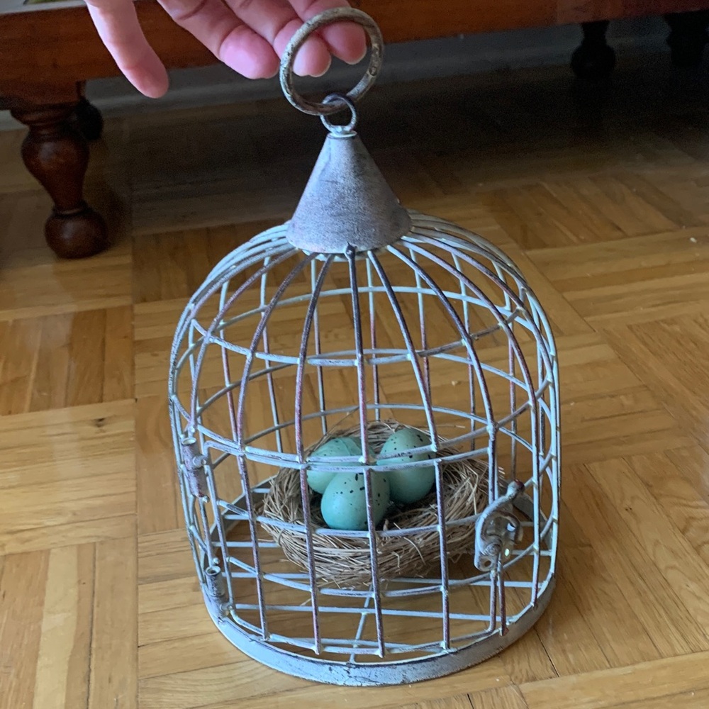 Decorative Metal Birdcage w/ Faux Nest and Eggs